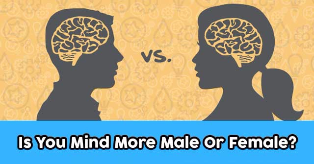 Is You Mind More Male Or Female?