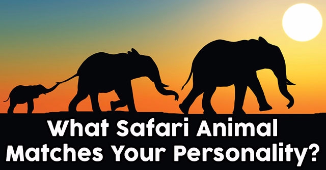 What Safari Animal Matches Your Personality?