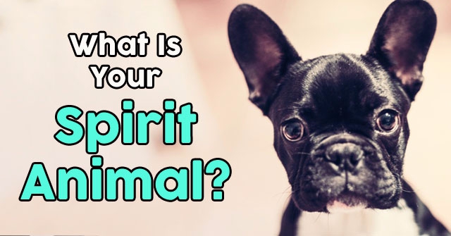 What Is Your Wild Spirit Animal? | QuizDoo
