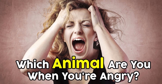 Which Animal Are You When You’re Angry?