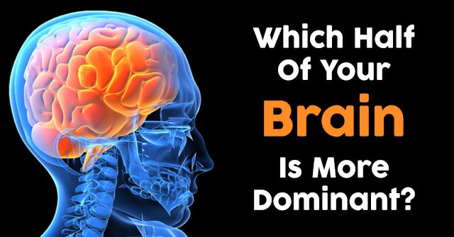 Which Half Of Your Brain Is More Dominant?