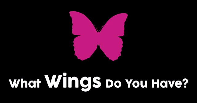 What Wings Do You Have?