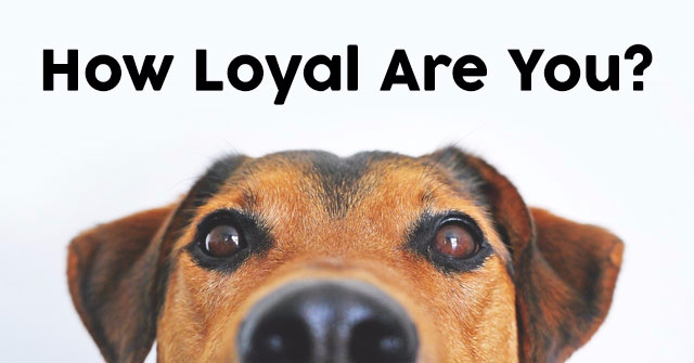 How Loyal Are You?