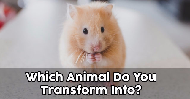 Which Animal Do You Transform Into?