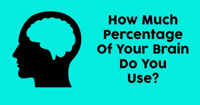 How Much Percentage Of Your Brain Do You Use?