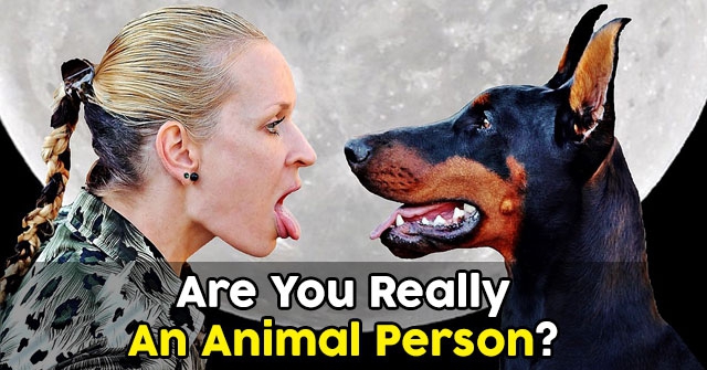 Are You Really An Animal Person?