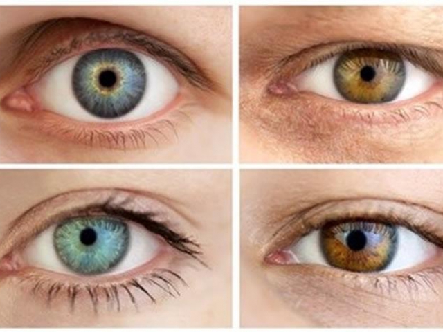 What color are your eyes?