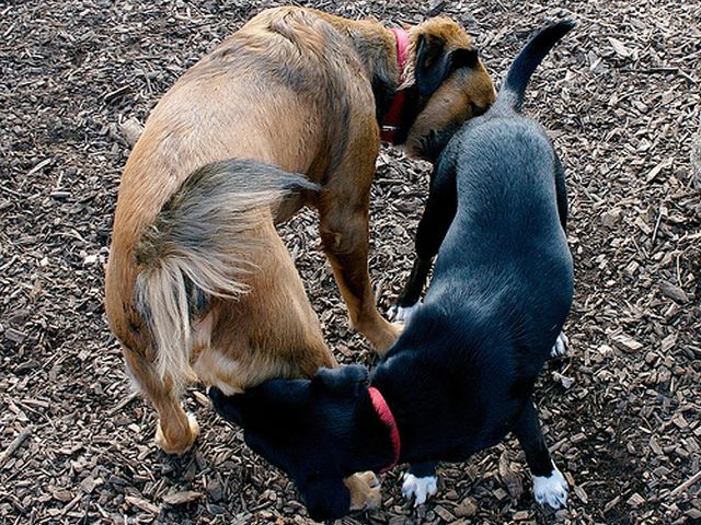 How do you greet your best friend?