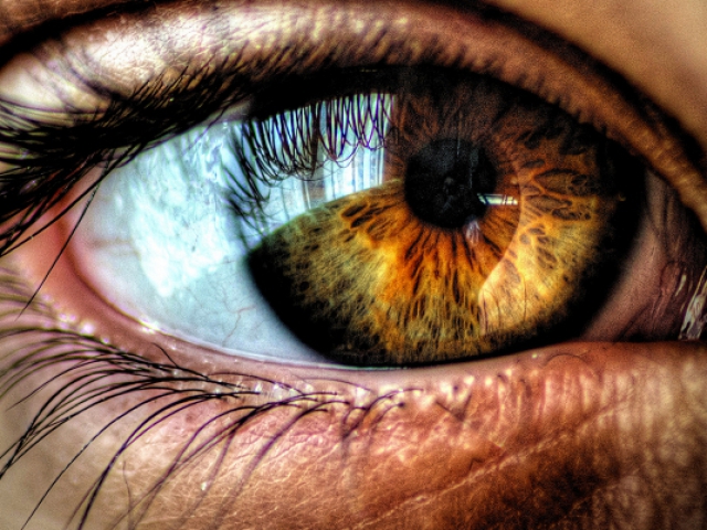 Your eyes are the window to the soul, so what color are they?