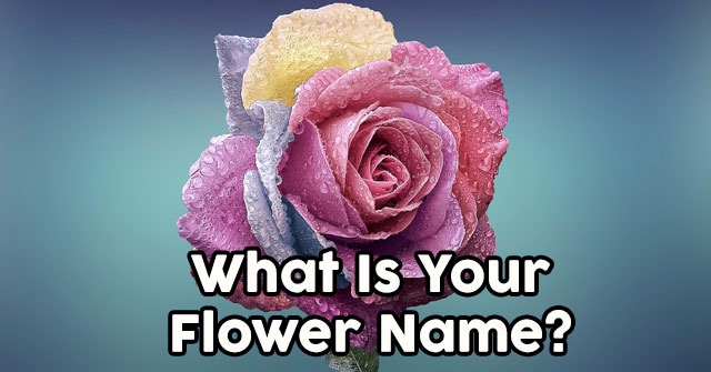 What Is Your Flower Name? | QuizDoo