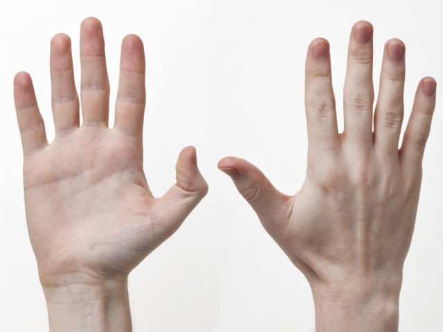 Are you left handed or right handed?
