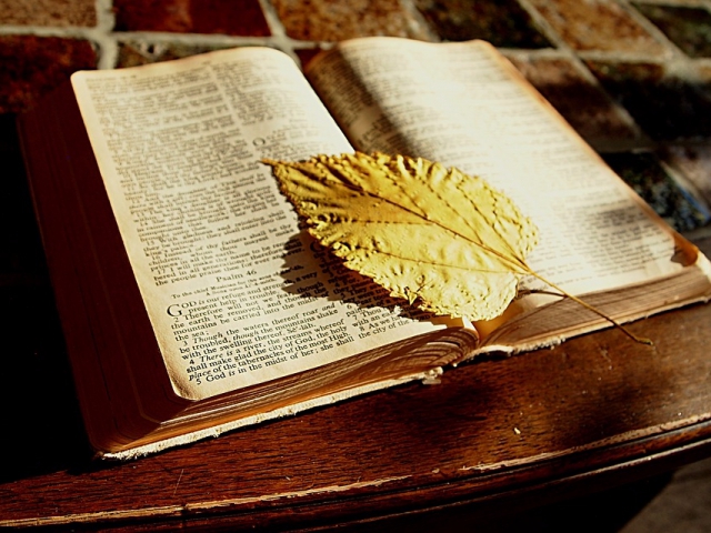 Do you prefer the Old Testament or the New Testament?
