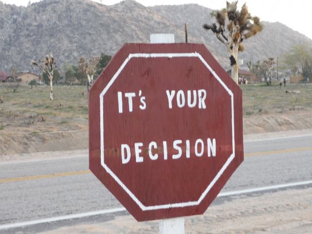 You have a significant decision to make. Which option do you choose?