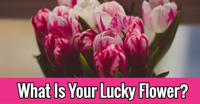 What Is Your Lucky Flower?