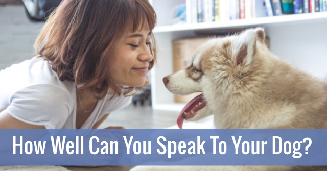 How Well Can You Speak To Your Dog?