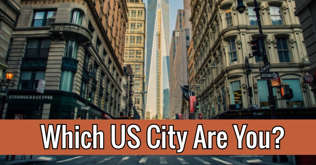 Which US City Are You?