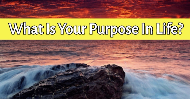 What Is Your Purpose In Life?