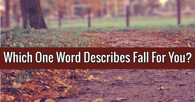 Which One Word Describes Fall For You? QuizDoo