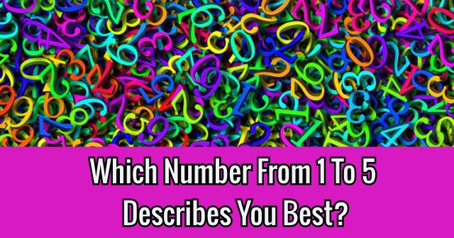 Which Number From 1 To 5 Describes You Best?