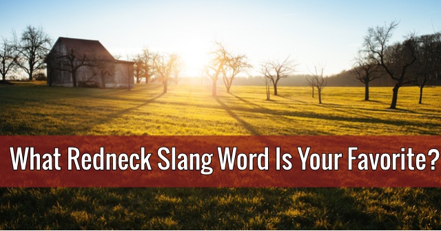 What Redneck Slang Word Is Your Favorite?