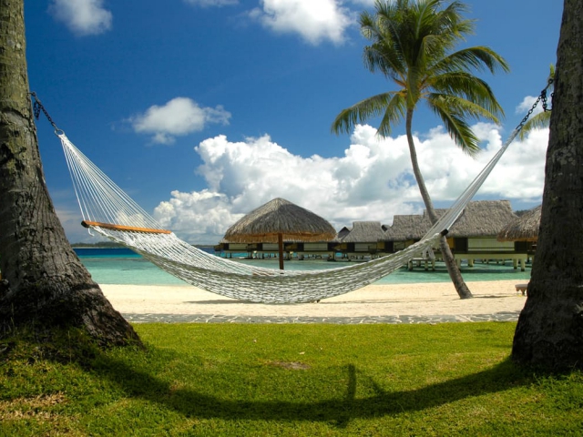 In your opinion, hammocks are....