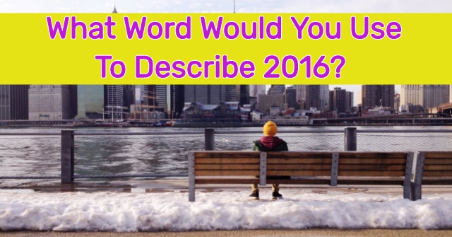 What Word Would You Use To Describe 2016?