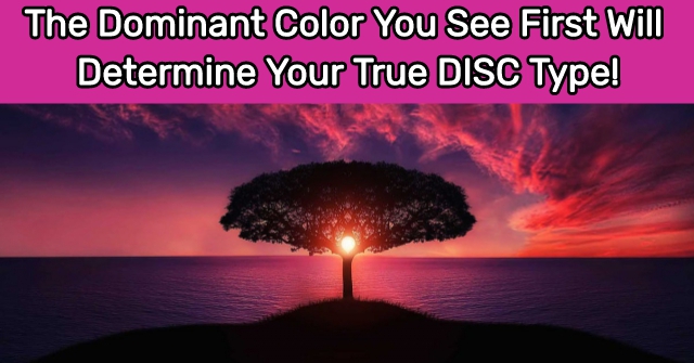 The Dominant Color You See First Will Determine Your True DISC Type!