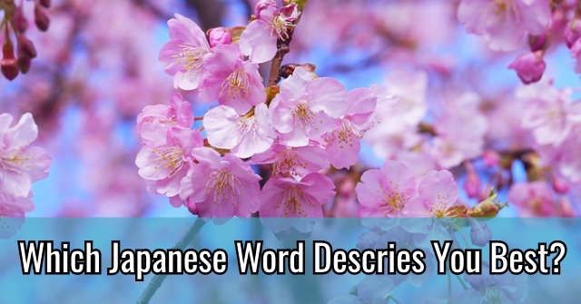 Which Japanese Word Descries You Best?