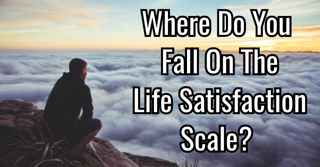 Where Do You Fall On the Life Satisfaction Scale?