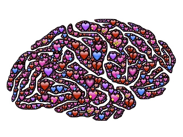 Do you think with your brain or your heart more often?