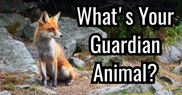 What’s Your Guardian Animal?