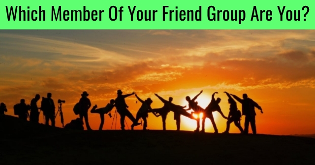 Which Member Of Your Friend Group Are You?