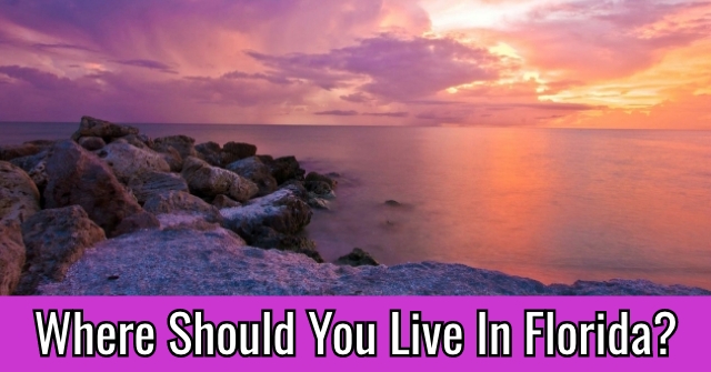 Where Should You Live In Florida?