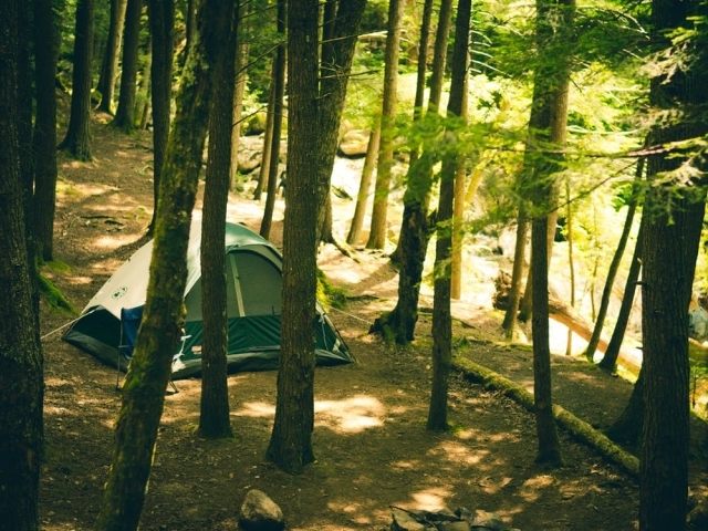 Where would you prefer to go camping?