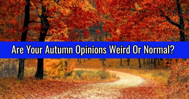 Are Your Autumn Opinions Weird Or Normal?