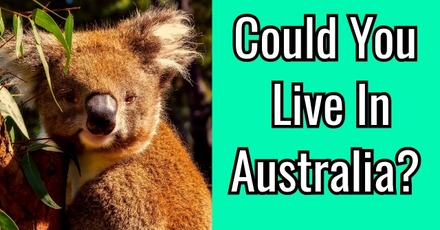 Could You Live In Australia?