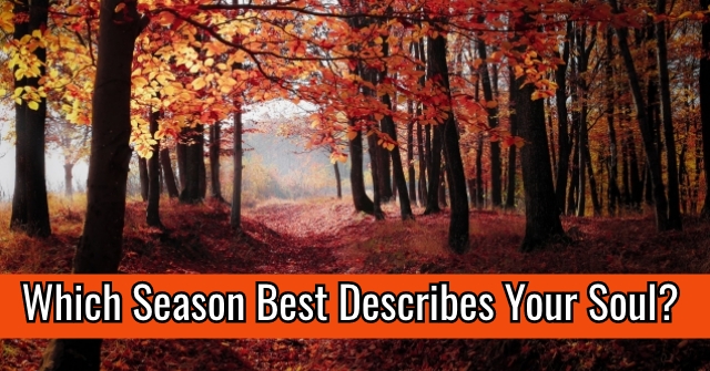 Which Season Best Describes Your Soul?