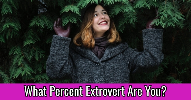What Percent Extrovert Are You?