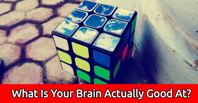 What Is Your Brain Actually Good At?