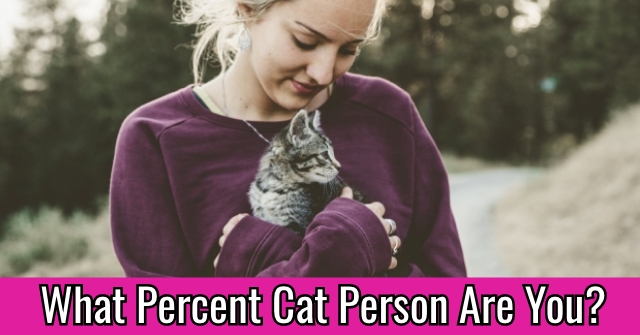 What Percent Cat Person Are You?