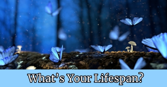 What’s Your Lifespan?