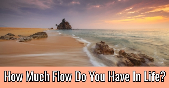 How Much Flow Do You Have In Life?