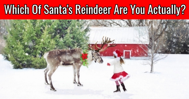 Which Of Santa’s Reindeer Are You Actually?