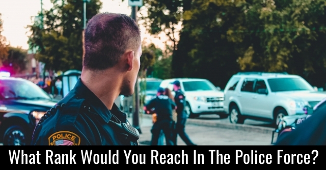 What Rank Would You Reach In The Police Force?