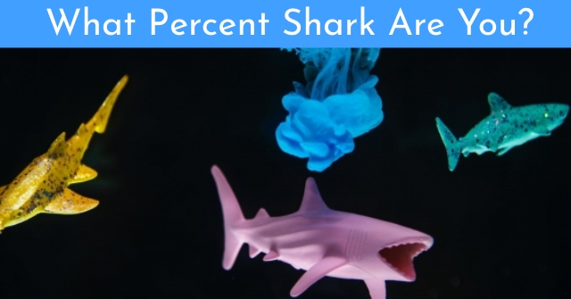 What Percent Shark Are You?