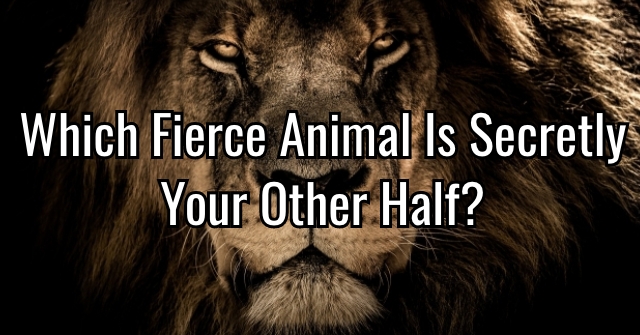 Which Fierce Animal Is Secretly Your Other Half?